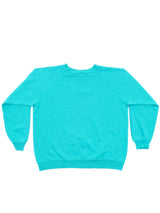 New York "Big Apple" Sweatshirt Sweatshirt arcadeshops.com