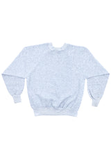 New York "Big Apple" Sweatshirt Sweatshirt arcadeshops.com