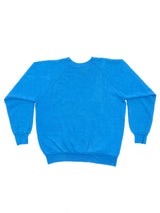 New York "Big Apple" Sweatshirt Sweatshirt arcadeshops.com