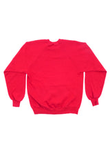 New York "Big Apple" Sweatshirt Sweatshirt arcadeshops.com