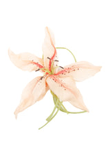 Emanuel Ungaro by Giambattista Vali Lily Silk Pin Jewelry arcadeshops.com