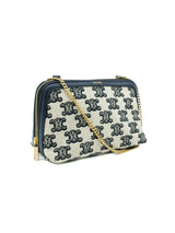 Celine Zip Around Triomphe Clutch Accessory arcadeshops.com