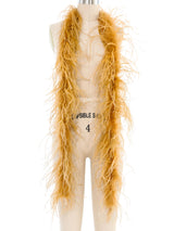 Amber Ostrich Feather Boa Accessory arcadeshops.com