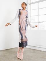 Ann Demeulemeester Venus Print Jersey Dress Dress arcadeshops.com