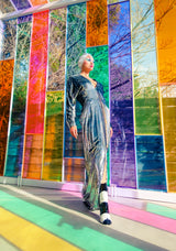 Metallic Silver Panne Velvet Gown Dress arcadeshops.com