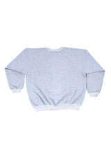 New York "Big Apple" Sweatshirt T-shirt arcadeshops.com