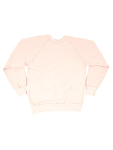 New York "Big Apple" Sweatshirt T-shirt arcadeshops.com