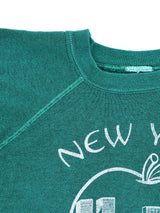 New York "Big Apple" Sweatshirt T-shirt arcadeshops.com