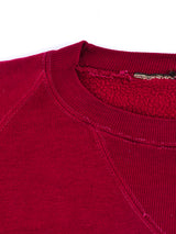 New York "Big Apple" Sweatshirt T-shirt arcadeshops.com