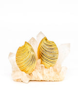 Christian Dior Stylized Shell Earrings Jewelry arcadeshops.com