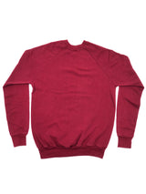 New York "Big Apple" Sweatshirt T-shirt arcadeshops.com