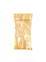 Pierre Cardin Butterfly Sunglasses Accessory arcadeshops.com