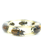 Amber Lucite Insect Bangle Accessory arcadeshops.com