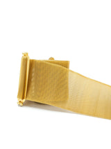 De Lillo Goldtone Mesh Belt Accessory arcadeshops.com
