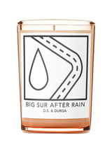 Big Sur After Rain Candle by D.S. & DURGA Candle arcadeshops.com