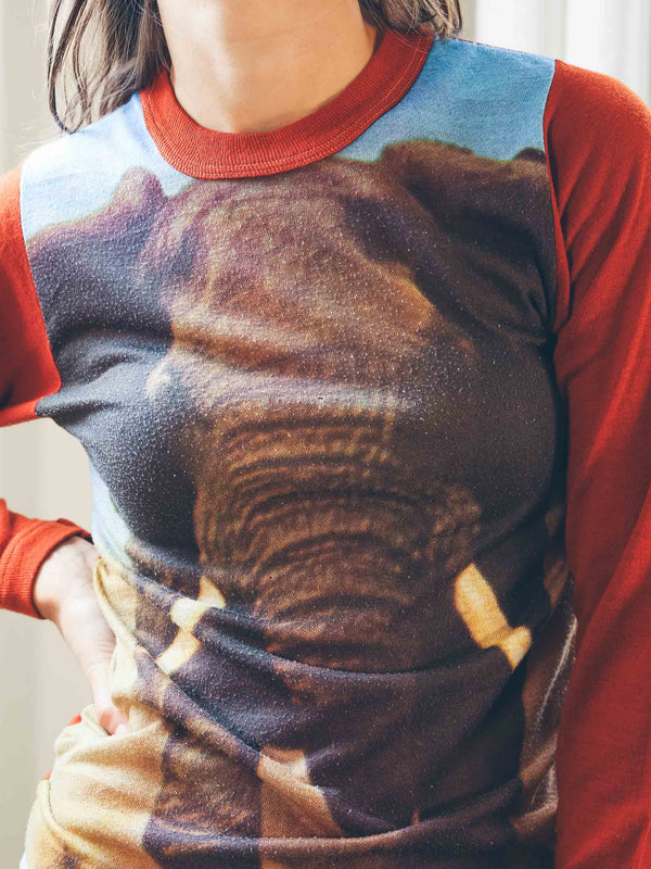 Elephant Photo Print Raglan Tee T-Shirt arcadeshops.com