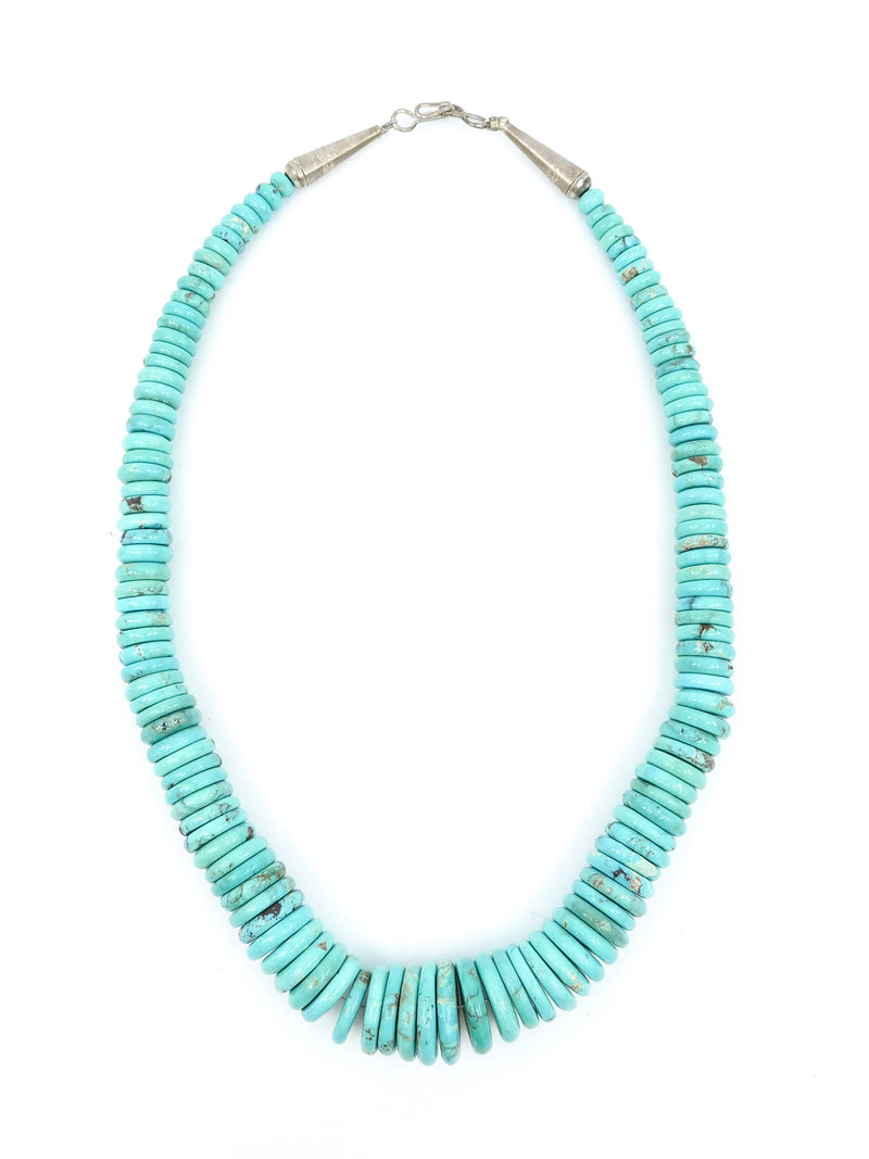 Turquoise Graduated Stone Necklace Accessory arcadeshops.com