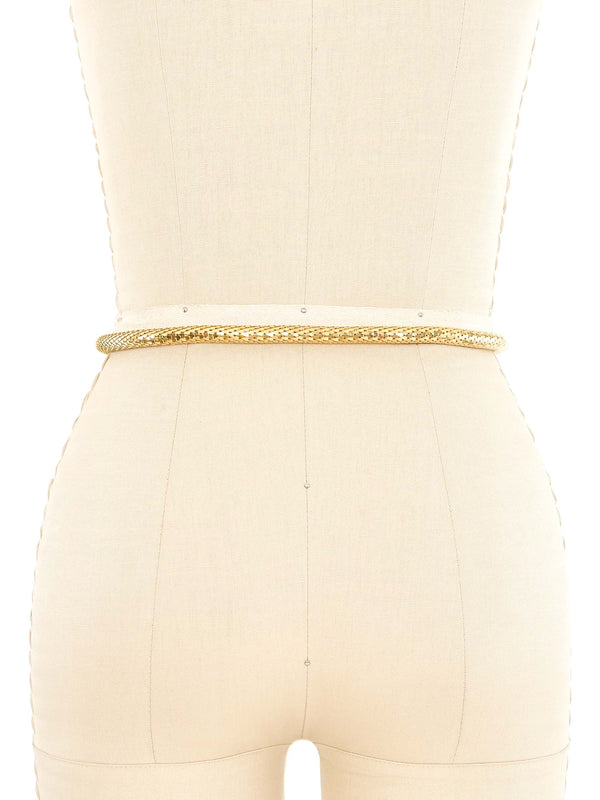 Goldtone Snake Chain Belt Accessory arcadeshops.com