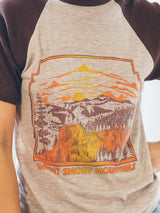 Great Smoky Mountains National Park Raglan Tee T-Shirt arcadeshops.com