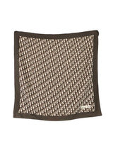 Christian Dior Brown Oblique Logo Scarf Accessory arcadeshops.com