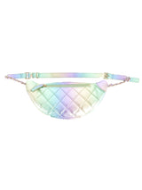 2024 Chanel Irredescent Bum Bag Accessory arcadeshops.com