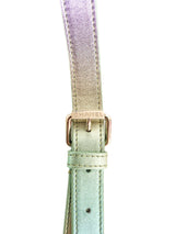 2024 Chanel Irredescent Bum Bag Accessory arcadeshops.com