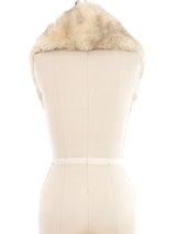 Taupe Fox Fur Collar Accessory arcadeshops.com