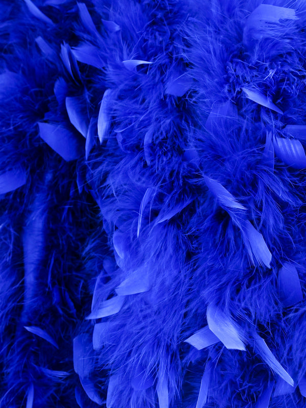 Cobalt Blue Feather Jacket Jacket arcadeshops.com