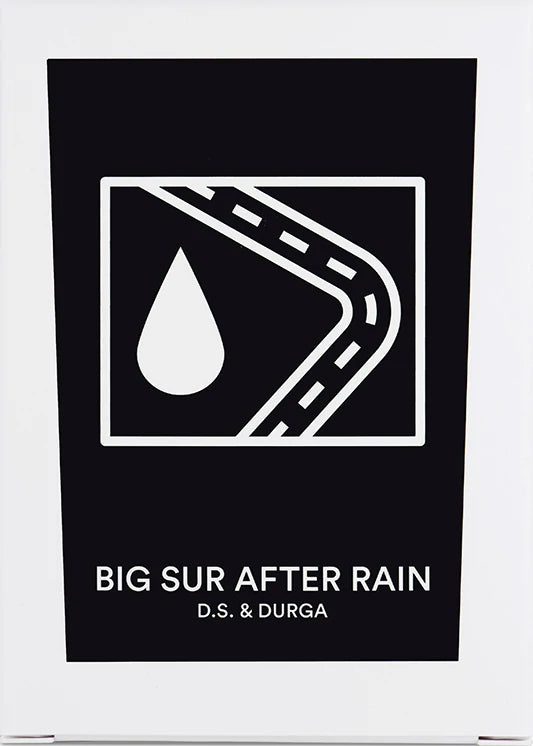 Big Sur After Rain Candle by D.S. & DURGA Candle arcadeshops.com