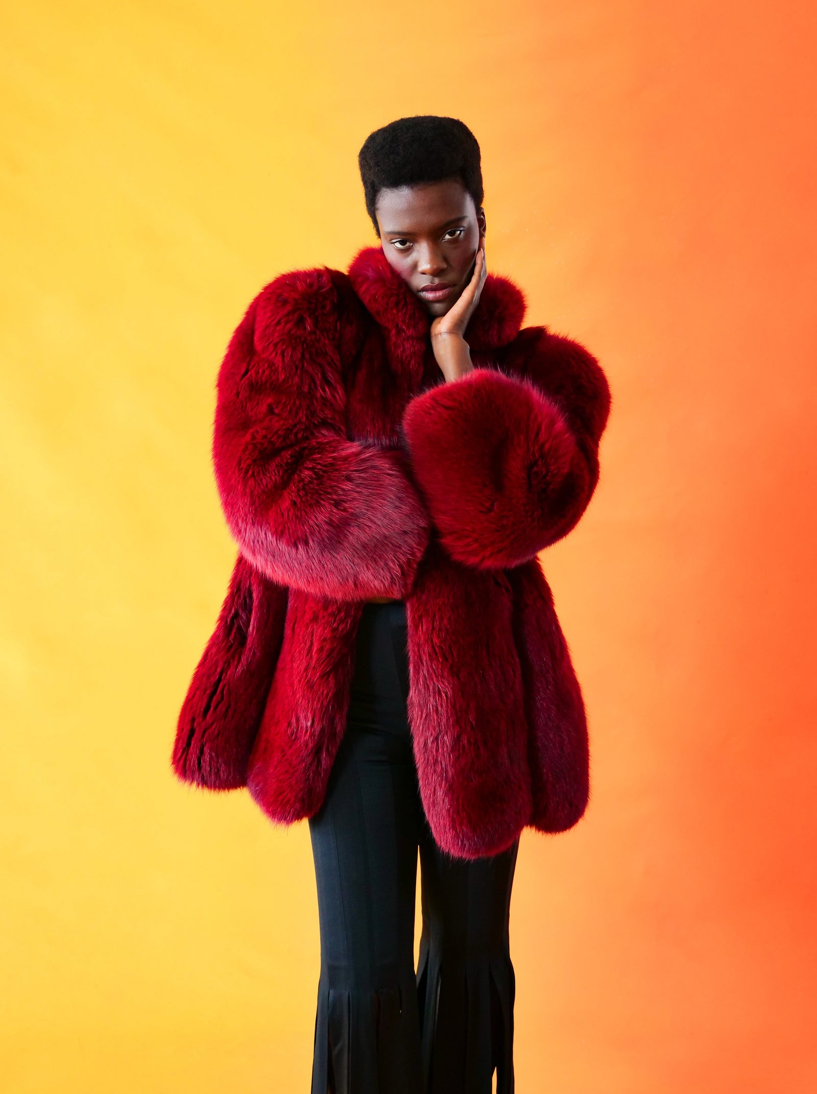 Christian Dior フォックスファー クロップド コート スワカラ Christian Dior Black Cherry Fox Fur Coat