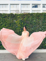 Colorblock Pleated Chiffon Gown Dress arcadeshops.com