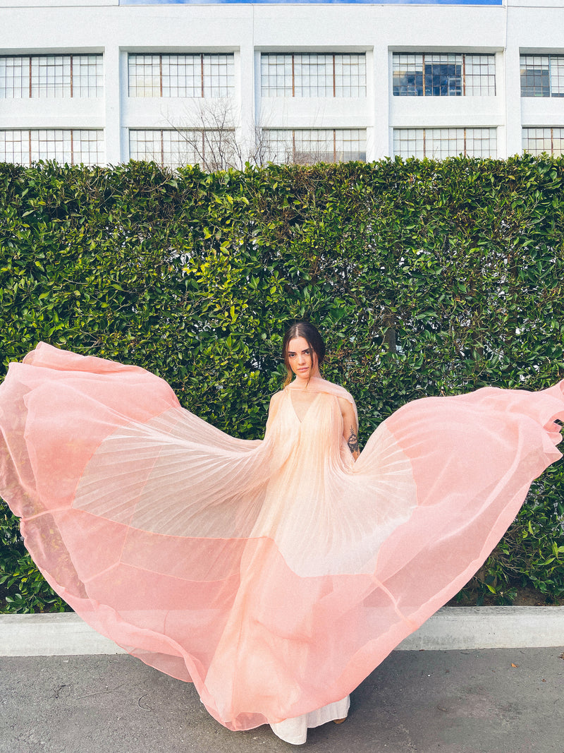 Colorblock Pleated Chiffon Gown Dress arcadeshops.com