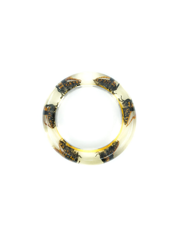 Amber Lucite Insect Bangle Accessory arcadeshops.com